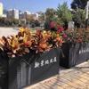 Vasos de Flores de Aço Inoxidável para Exterior, Divisórias de Jardim de Ferro Forjado, Calhas para Flores, Cercas para Exterior, Camas de Flores Municipais para Escritórios de Vendas e Suportes para Flores