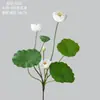 Flores de Loto y Hojas Flores Artificiales Fabricante Flores Falsas Plantas Verdes Decoración de Bodas Manualidades Estilo Ins Venta al por Mayor Transfronteriza