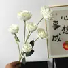 Fabricante de Rosas Artificiais de Cabeça Pequena para Decoração de Salão de Casamento, Peônias Artificiais Exquisitas de 6 Cabeças, Flores Artificiais