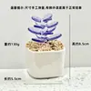 Adornos de Escritorio Hechos a Mano de Flor de Jacinto Suculento Esmaltado Decoración de Maceta de Planta Artificial de Vidrio Micro Paisaje Creativo