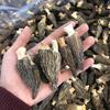 Morchella atacado morchella de Yunnan produtos secos atacado origem fornecimento uma geração de cabelo