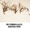 Materiales de paisajismo para acuarios raíces de azalea roca volcánica madera a la deriva madera de camarón esqueleto pegamento raíces hierba materiales de paisajismo para tanque Leide