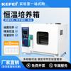 Incubadora de temperatura constante con calefacción eléctrica para laboratorio, germinación de semillas de bacterias microbianas, moho bioquímico, temperatura y humedad constantes.