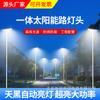 Serie Sol Transfronterizo Luz de Calle Solar Integrada Ultra Brillante para Exteriores de 3-7 Metros con Iluminación Automática en Ambos Lados