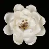 Flores de Papel com Miolo de Centáurea 8cm Atacado, Flores Difusoras Perfumadas, Flores Secas para Decoração de Casa