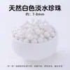 Item popular para live-streaming: pérolas de água doce naturais soltas, quase redondas, alto brilho, sem defeitos, contas nuas com furo reto, fonte de acessórios para joias DIY