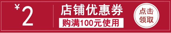 优惠卷-满100减2元.jpg