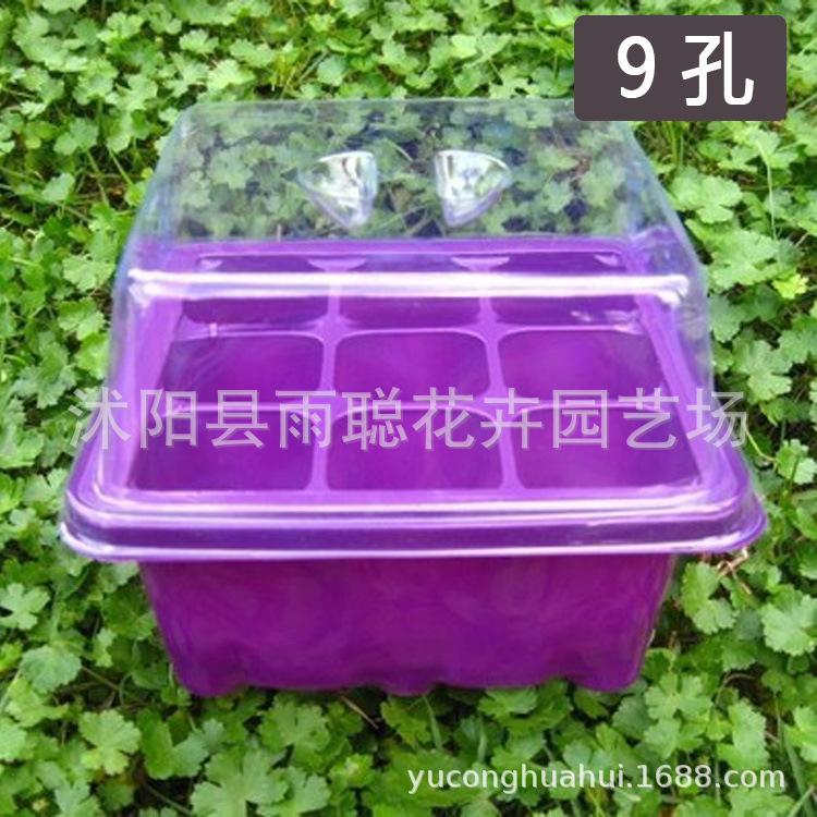 2595906281_1404327002