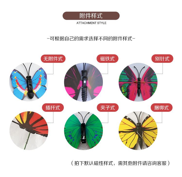 彩色蝴蝶