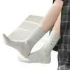 Nuevos Calcetines de Otoño e Invierno, Lindos Calcetines de Media Caña para Mujer con Dibujos de Cachorros, Calcetines para Mujer Estilo Universitario, Versátiles Venta al por Mayor de Fábrica