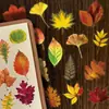 50 Peças de Adesivos Transparentes de Folhas Mortas, Folhas de Outono Realistas e Plantas, Adesivos Decorativos Pet à Prova d'Água para Diários