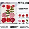 Paquete de Hojas de Flores Secas DIY Cristal Epoxi Paquete de Materiales de Flores Hechos a Mano Pegatinas de Flores Prensadas Materiales Plantas Decorativas Muestras Fotografía