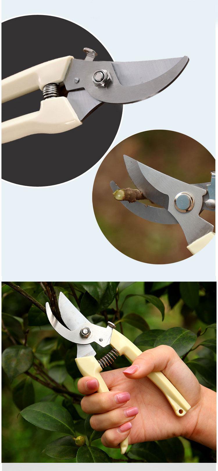 O1CN01RDakEn2IYXgtiT7PX_!!3609729298-0-c