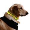 Collar para perro con cuerda bordada y LED luminoso, carga USB, advertencia nocturna, antipérdida