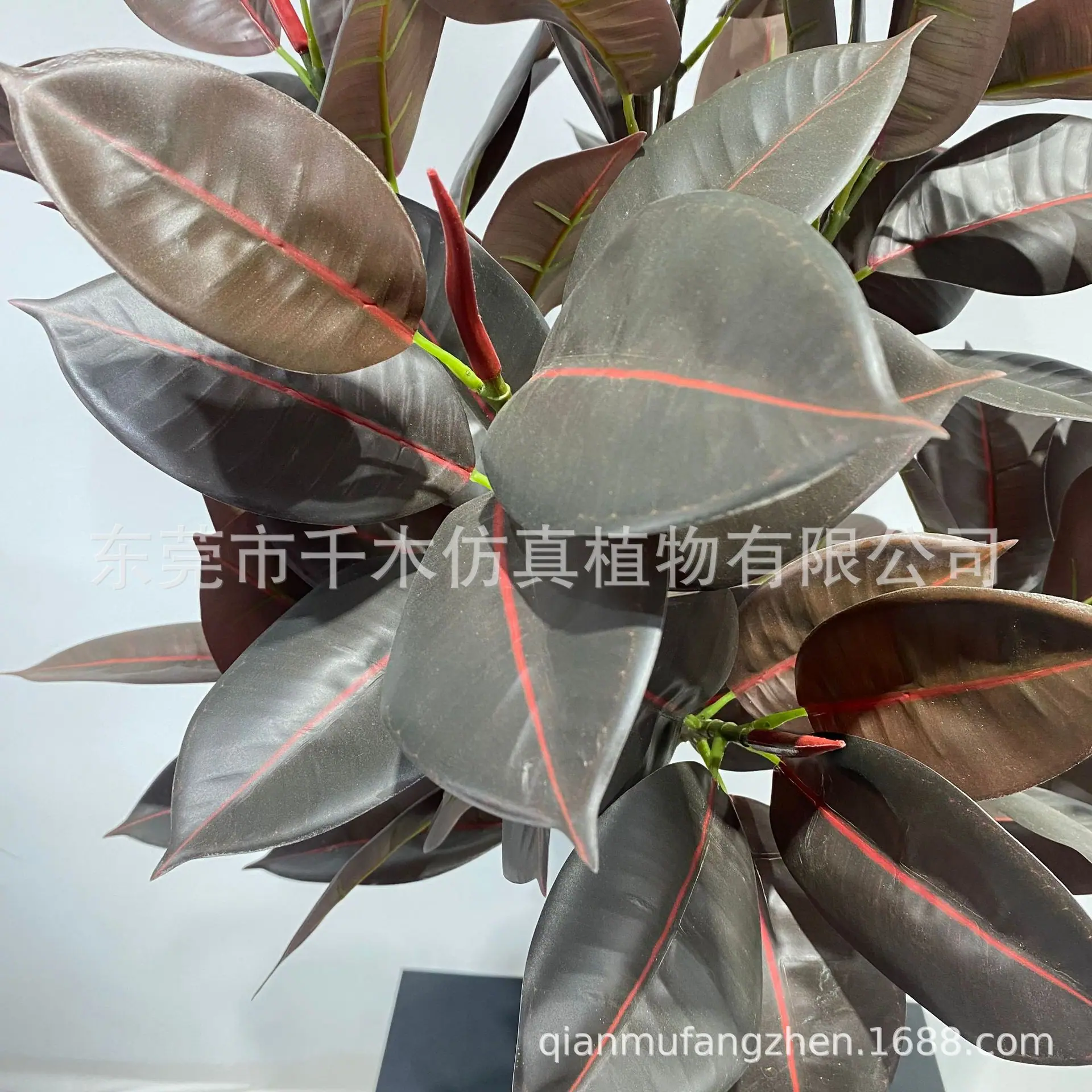 微信图片_202207061337171