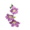 Flor de simulação de cor de primavera transfronteiriça sensação 3D 3 flor de clematis magnólia flor artificial decoração de casa refeição casamento flor de seda lote