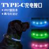 Coleira à Prova d'Água para Pet Tipo-C Luminosa USB Corda para Passeio Toldo Rede Dupla Cor Coleira de Cachorro Suprimentos para Pets