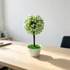 Nuevas plantas artificiales en maceta con diseño de cielo estrellado y flor de cerezo, perfectas para la decoración del hogar, creando una exhibición creativa y mejorando el ambiente de un restaurante