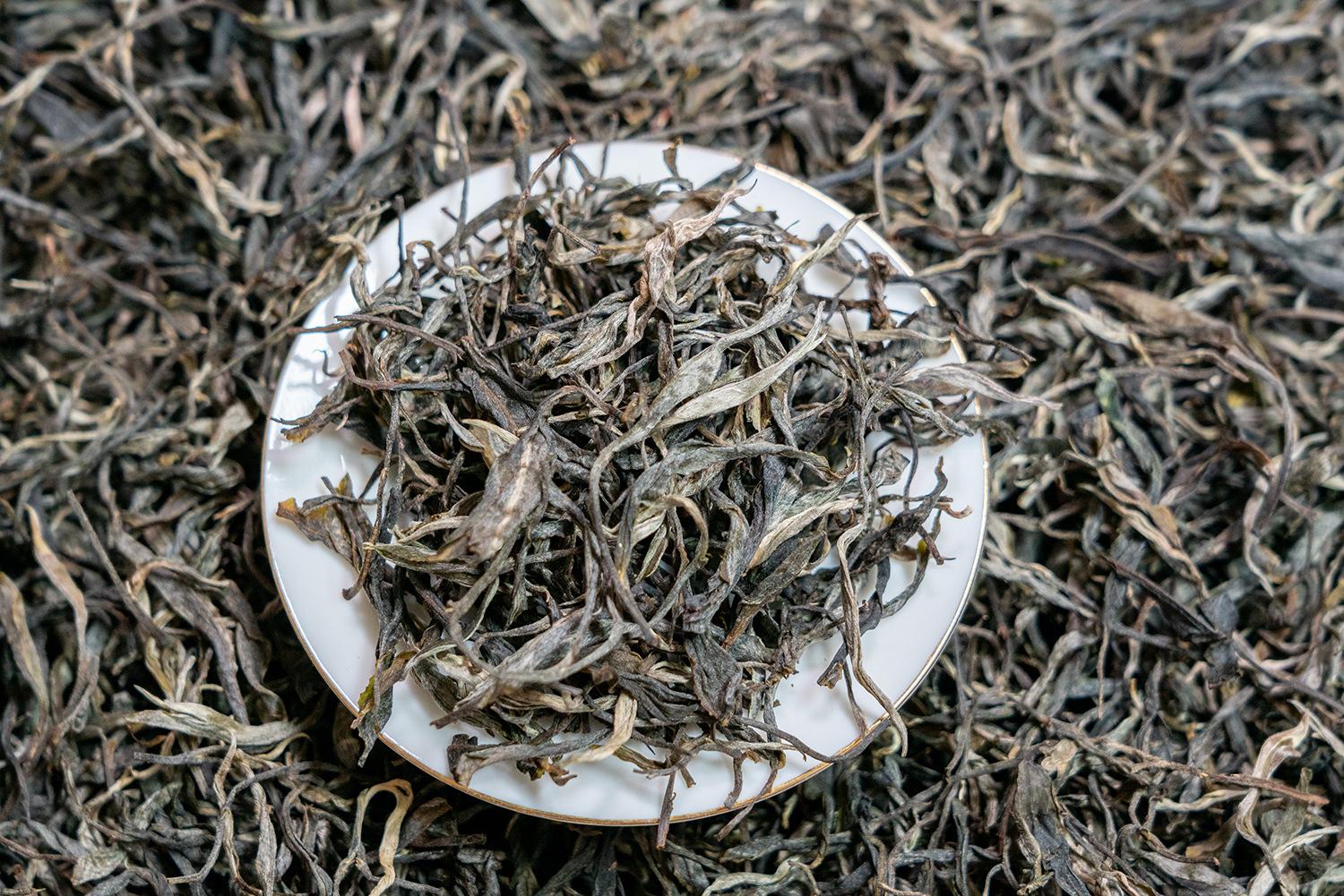2024大雪山散茶 (8).jpg
