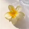 Nuevo pasador de pelo acrílico de frangipani de colores, pinza de flor, accesorio para el cabello elegante y sofisticado para mujer, pinza de tiburón lateral