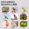 Recompensas de Entrenamiento de Snacks para Loros Comida para Pájaros Palo para Molar Gusano de Pan Mordida Especial Xuan Feng Piel de Tigre Sol Pequeño