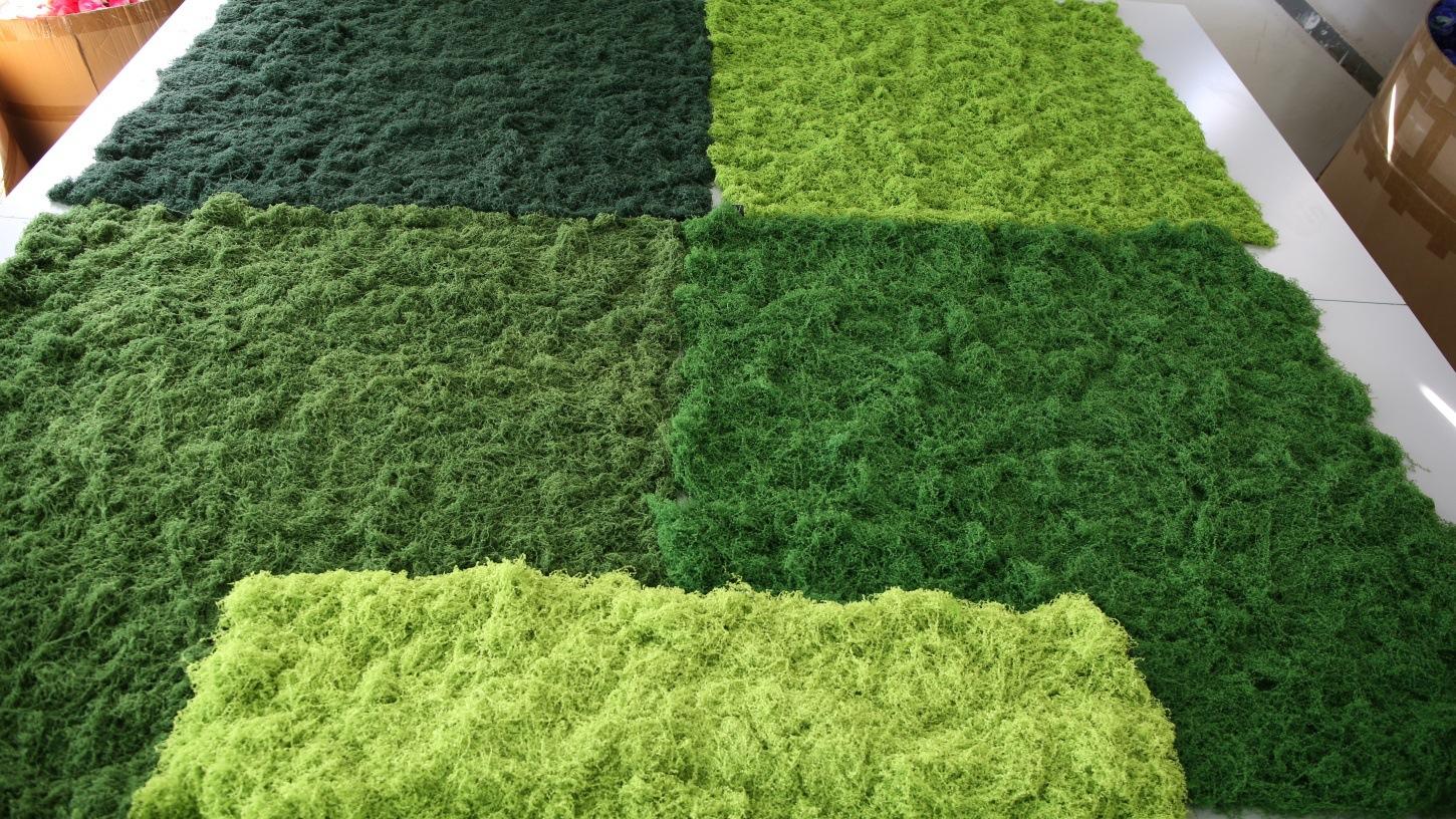 751A2477 - 开心看图王_副本