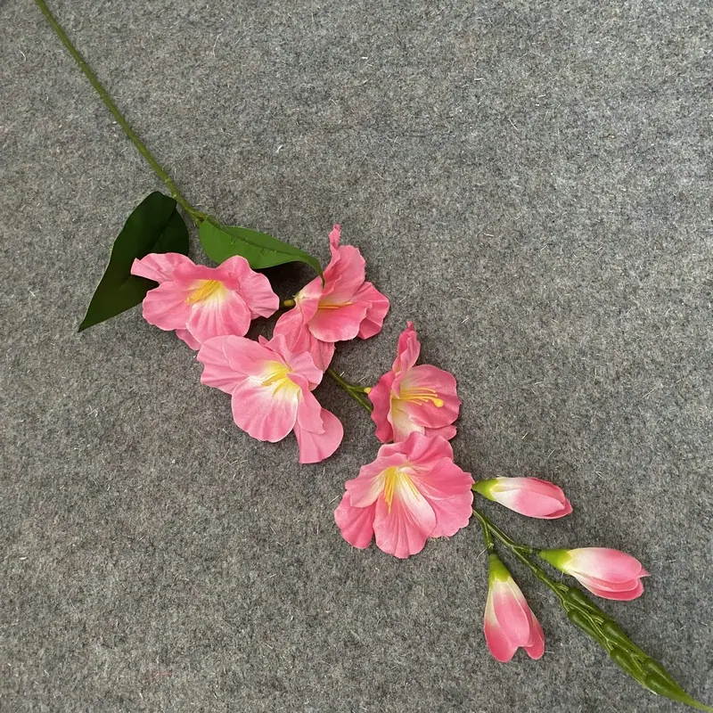 单只砖红粉色.JPG