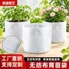 Bolsas de Cultivo de Tela No Tejida Bolsas Redondas para Plántulas Bolsas para Trasplante de Árboles Frutales Bolsas de Nutrientes Bolsas para Plantar Flores Plántulas Personalizado