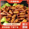 Pupas de Gusano de Seda a Bajo Precio Pupas de Gusano de Seda Crujientes y Fragantes Listas para Comer, una Especialidad de Shandong, Perfectas como Snack con Alcohol, Pupas de Gusano de Seda Frescas Fritas, Alimento Cocido, Productos Secos