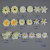 Paquete de Materiales de Flores de Imitación E Decoración de Mesa de Postres para Pastel Tocado Étnico Horquilla Flor Sombrero de Maestro para Hacer Flores Caja de Flores con Flores