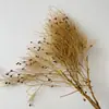 Flores Preservadas Atacado, Arranjos Xiduo Floral para Decoração de Casa, Flores Secas Decorativas de Seda, Presentes para o Dia das Mães