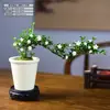 Bonsái de Nieve de Seis Hojas con Ramas Flotantes para Decoración de Mesa de Oficina Interior o Sala de Té, Planta Pequeña en Maceta Fácil de Cuidar