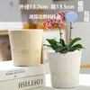 Maceta de Cerámica Simple para Uso Doméstico con Plato, Venta al por Mayor Transfronteriza Temu, Específicamente para Orquídeas Phalaenopsis y Plantas Suculentas