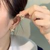 Plato de Incienso para Mosquitos Clip para la Oreja Sin Agujeros en la Oreja Sentido Avanzado Temperamento Simple Aretes de Joker Moda de Lujo Ligero Aretes Indoloros al Mayoreo