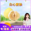 Seleção PremiumLaranja-Mel de Polpa Branca de Zhangzhou, Fujian, peças de 2/ 2,5 kg, fruta fresca sazonal doce e suculenta