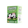 Caixa Surpresa Panda Plantando Vasos de Plantas Infantis Plantas em Vasos Pequenos Plantas de Observação para Jardim de Infância Alunos do Ensino Fundamental Sementes Mini Conjunto