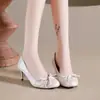 Nuevos Zapatos Mary Jane de Tacón Alto de Aguja con Falda y Punta Redonda, Zapatos de Boda Socialité Hada del Lazo Francés 2026