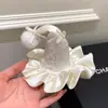 Serie de Cumpleaños ~ Sombrero de Pastel de Cereza Pasador de Encaje para el Cabello Foto Aro para el Cabello Creativo Accesorios para el Cabello Lindos para Niños Fiesta