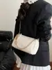 Bolso de Paja Tejida de Gama Alta de Nicho para Mujer 2026 Nueva Moda Verano Bolso Almohada Versátil Bolso de Hombro para Debajo del Brazo