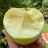 Manzana Aomori de Shandong Melocotón de Agua Primera Cosecha de Montaña Manzana Verde No Manzana Roja 5 Jin Fruta Fresca Dropshipping
