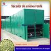 Secador de flor de ameixa verde tipo cinto de malha grande secador de desidratação de flor de ameixa branca equipamento de secagem de ramo de ameixa seca