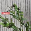 Planta de simulación directa de fábrica 6 horquillas hoja de olivo rama de olivo material de arreglo floral decoración del hogar bonsái Hoja Verde Al por Mayor