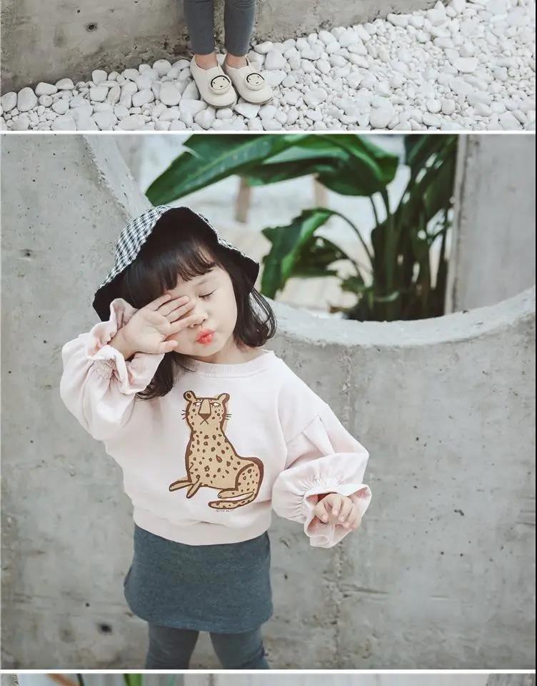 6_3c8d603e-5d52-4669-99be-bee3