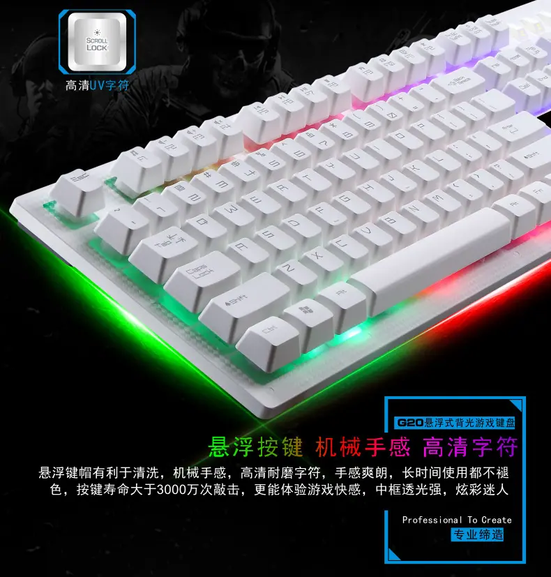 G20网图9