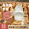 Bebedero automático para pollos para criar pollos, patos, gansos, tazón de agua para pollitos, modelo nuevo de botella de agua para que los pollos beban agua