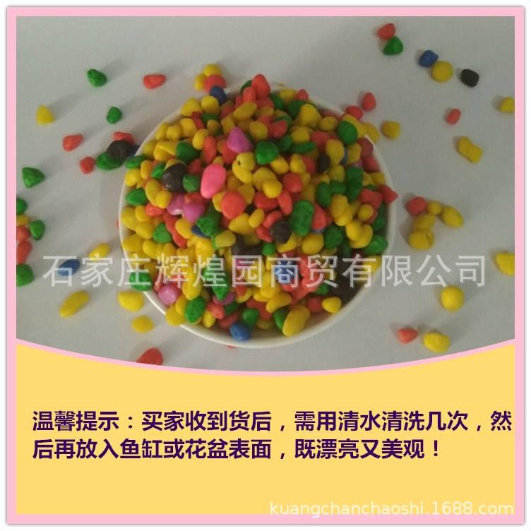 e2dc0c660f9fd2b9b72555adba7077