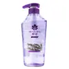 Champú Flor de Abeja, Esencia de Jengibre, Champú Rico y Espumoso, Fuerte y Brillante, Elimina la Grasa y Mejora la Rotura del Cabello, Champú
