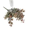 Venda Quente Transfronteiriça Plantas Verdes Simuladas de Eucalipto Decoração de Casa e Casamento Flores Plásticas Flores Artificiais Adereços para Fotografia Prontos para Venda