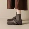 Weimei Girl 6696-18 Sapatos Simples Quentes com Forro de Lã para Mulheres, Sapatos de Camurça Lã Pelo, Sapatos Mary Jane de Uma Tira