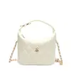 Bolso de Mano de Lujo Pequeño Estilo de Alta Gama Nicho Acolchado de Diamantes con Asa de Cadena para Mujer 2026 Nueva Moda Lonchera Bolso de Hombro Único Cruzado